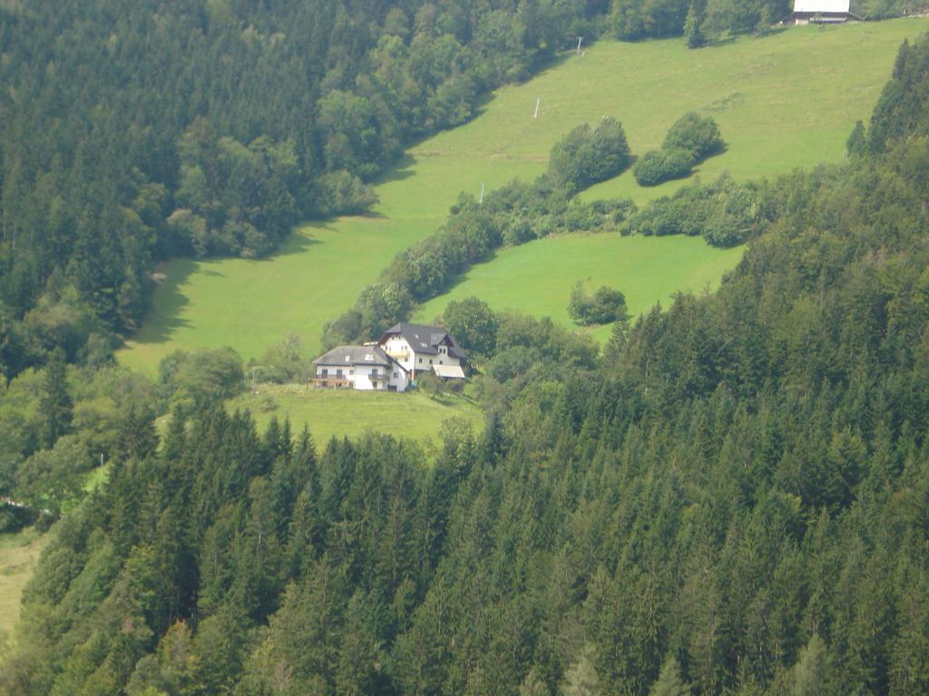 Farmstay Hisa Pecovnik Luče Eksteriør billede