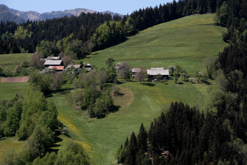 Farmstay Hisa Pecovnik Luče Eksteriør billede